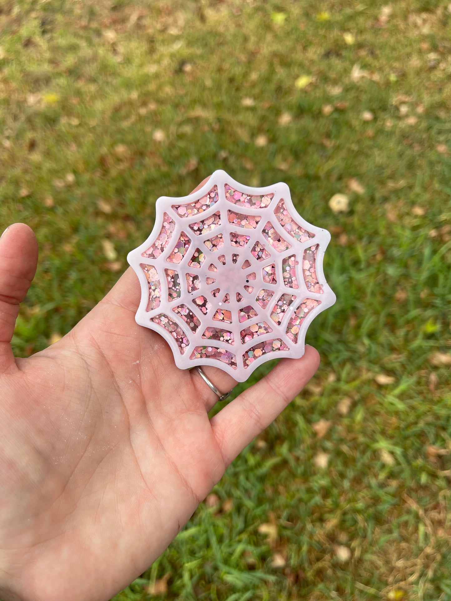Spider Web