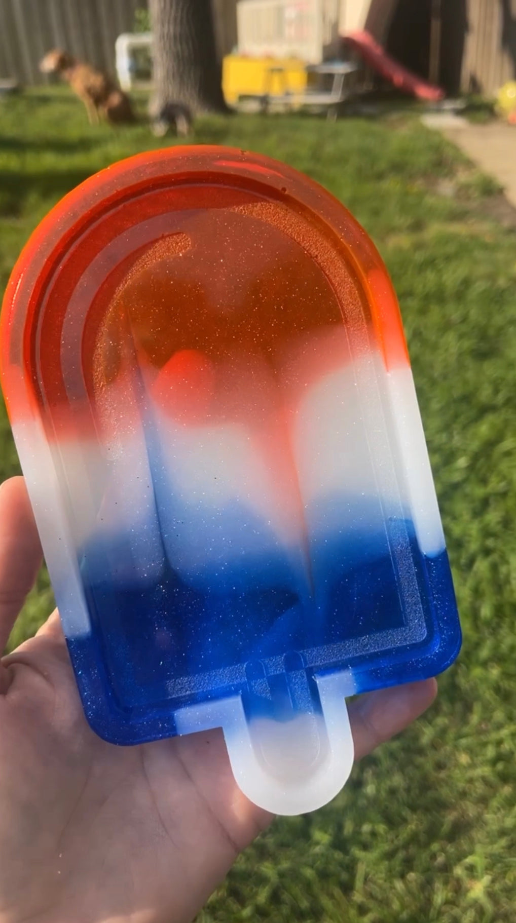 Popsicle tray
