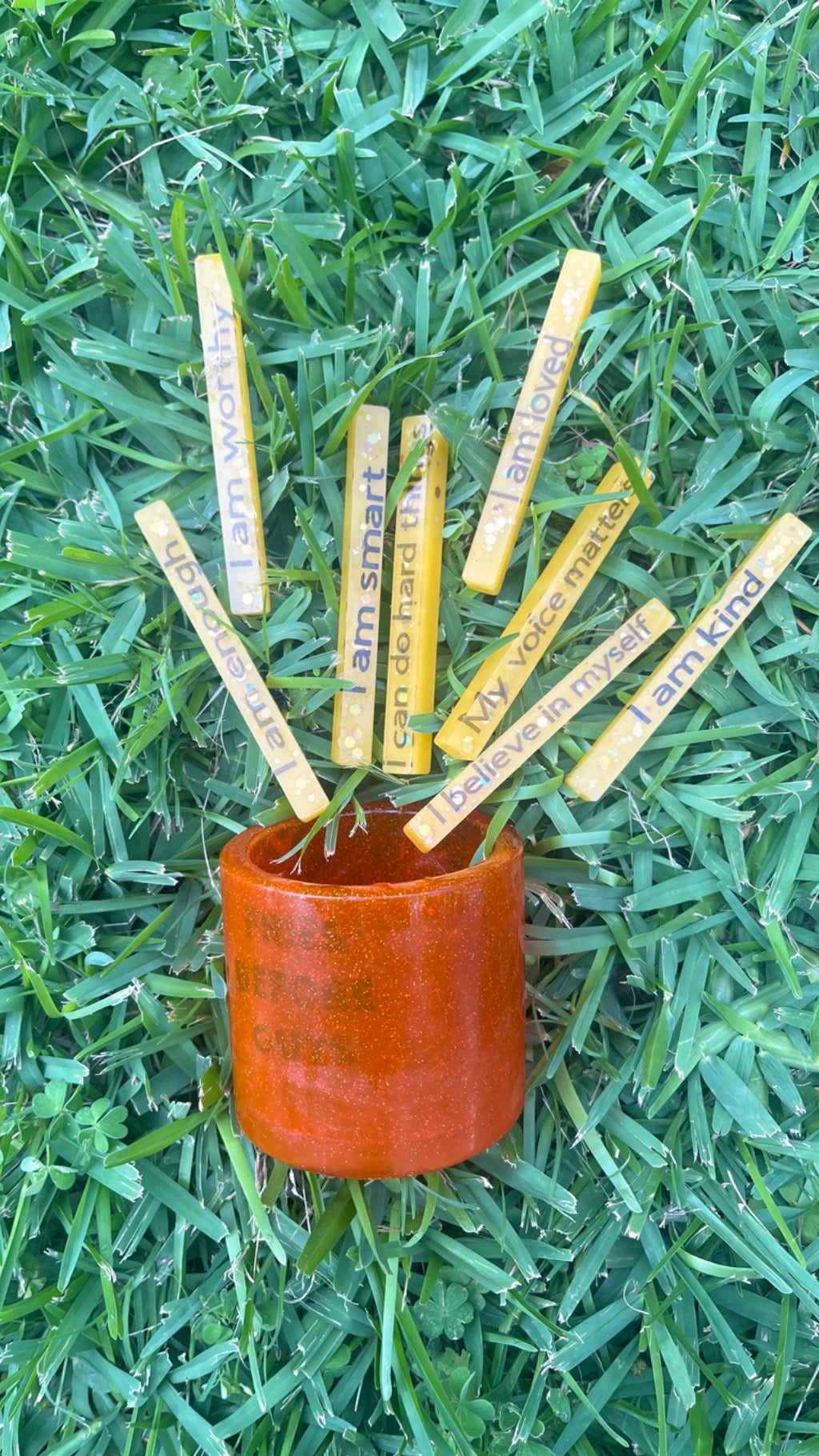 Affirmation fries