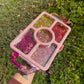 Custom Large 5 part tray